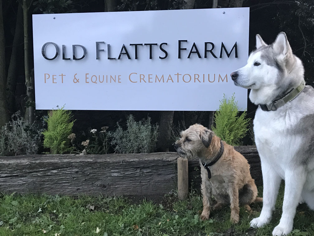 Pet cremation sales chesterfield
