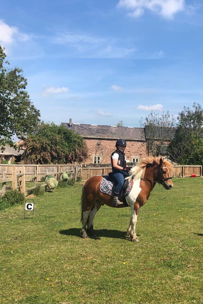 Equine Cremation Price List Old Flatts Farm Pet and Equine